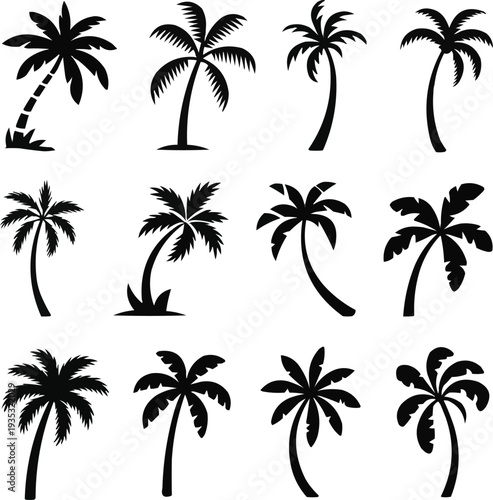 Summer Beach Palm Silhouettes Tropical Nature Travel Logo Elements