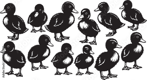 Black and white illustration of multiple duck silhouettes standing