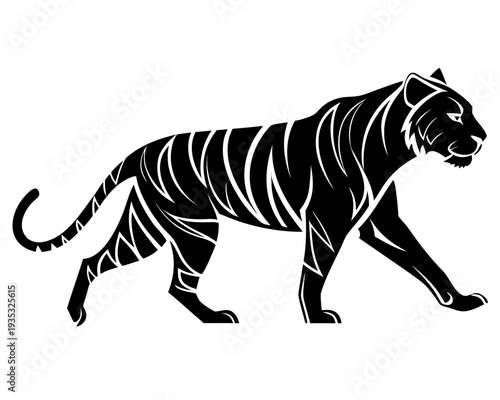 vector zebra vector illustration