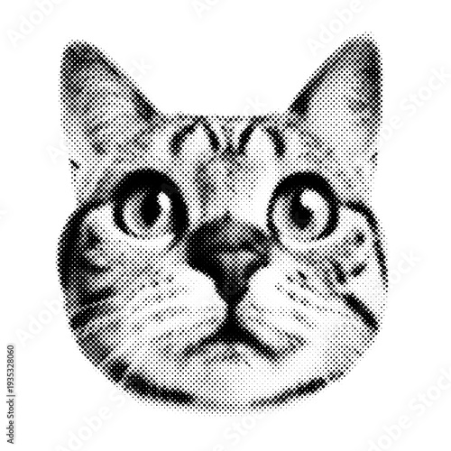 Black and white cat face illustration isolated on Transparent Background