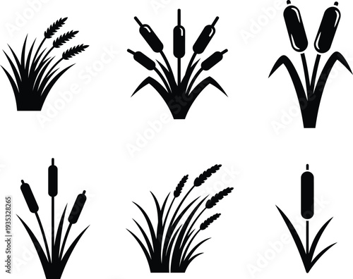 set of cattail and grass silhouettes for design
