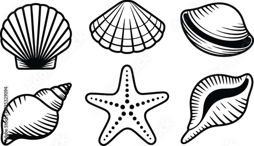 Black and white illustration of six ocean shells and a starfish