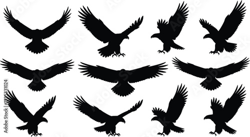 Black eagle silhouette vector set, flying hawk icons, majestic bald eagle poses, soaring bird of prey graphics, isolated predator elements