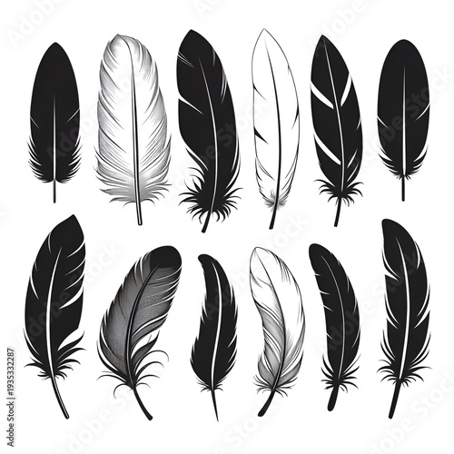 Set of Bird Feather. Feathers vector set in a flat style. Pen icon. Black quill feather silhouette. Plumelet collection isolated on white background