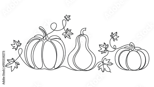 minimal line art illustration of pumpkins and gourd with autumn leaves continuous line drawing fall harvest decoration outline vector design