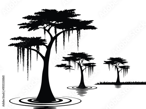 Cypress Tree Silhouette with Swamp Reflection – Black Vector Illustration