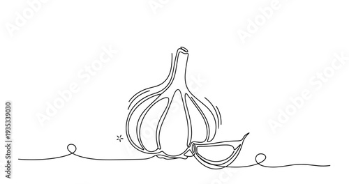 Minimalist line art of garlic bulb and clove on white background. None editable stroke