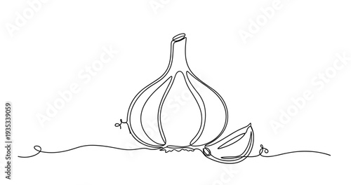 Continuous line drawing of garlic bulb and clove on white background. None editable stroke