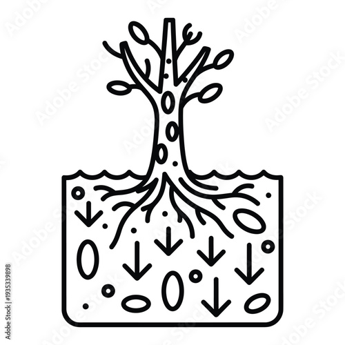 A black line drawing of a tree growing in soil with arrows indicating water and nutrients being absorbed by the roots