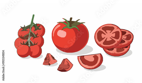Fresh tomato set vector with whole, cherry, sliced, and cut pieces on white background