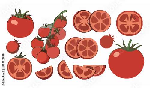 Tomato vector illustration set with whole, cherry, and sliced pieces isolated on white