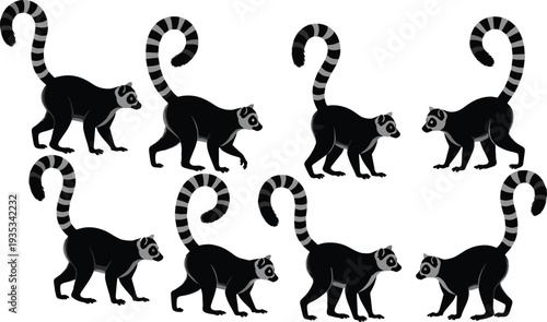 Ring-tailed lemur silhouette set featuring primate animal Madagascar wildlife nature exotic species tropical fauna zoo safari conservation and mammals silhouettes collection.