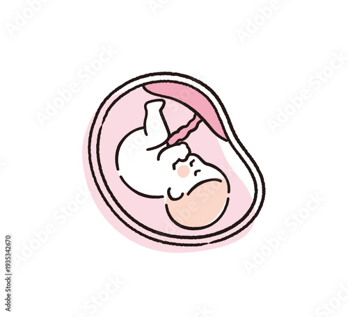 へその緒でつながる赤ちゃん｜出産前後のイメージイラスト