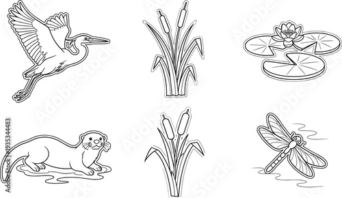 Collection of wetland animals and plants in a simple line art style