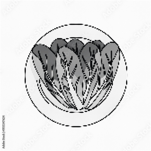 Bitter herbs maror lettuce on plate for Jewish Passover Seder meal symbol and religious illustration.