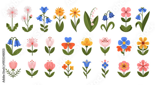 Vibrant floral illustrations of various flowers and plants displayed together in a colorful arrangement