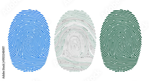 Three fingerprint impressions displayed in a row with different colors and patterns, viewed from directly above