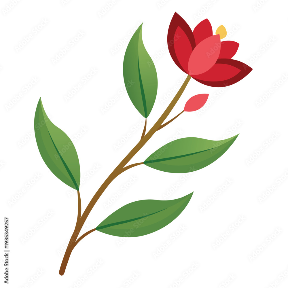 Obraz premium zigadenus elegans flower