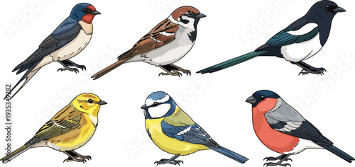 Global business professionals and diverse corporate team in formal and traditional attire