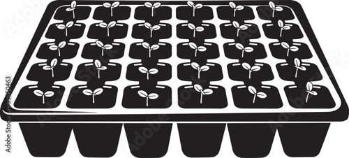 Seedlings growing in a black plastic tray illustration