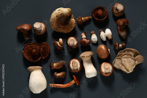 Different fresh mushrooms o...
