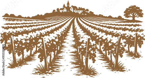 Vineyard Landscape Illustration, Rustic Winery Farm Vector Art.