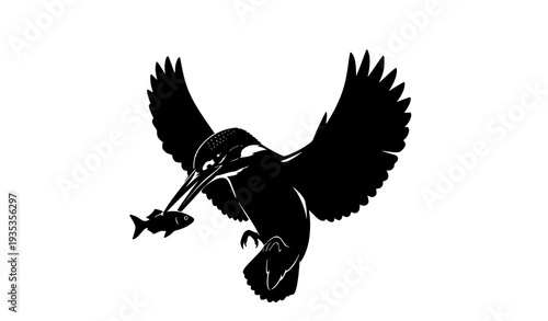 Kingfisher catching fish black silhouette vector illustration