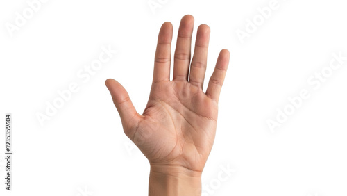 Slika na platnu Isolated human hand showing five fingers, open palm, raised hand up in the air,