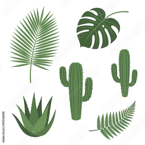 Collection of various green tropical plants and cacti illustrated in a clean and simple style