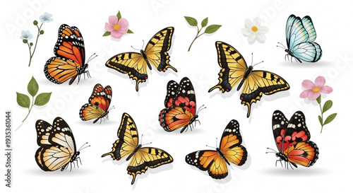 National Learn About Butterflies Day Colorful Garden Butterflies Premium Vector Illustration