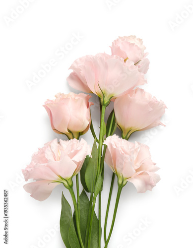 Bouquet of pink eustoma flo...