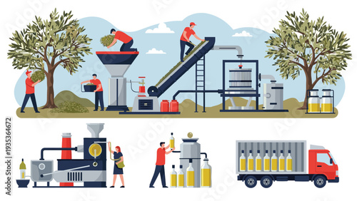 Detailed illustration showing the complete olive oil production process from harvesting and pressing to bottling and final distribution by truck.