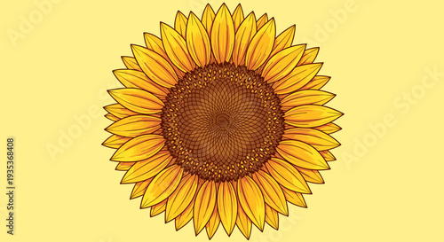 Sunflower Illustration on Yellow Background.