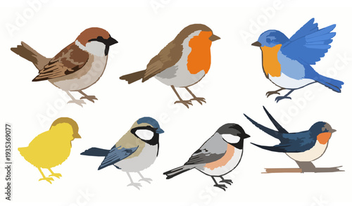 Hand drawn spring birds crayon illustration cute colorful set