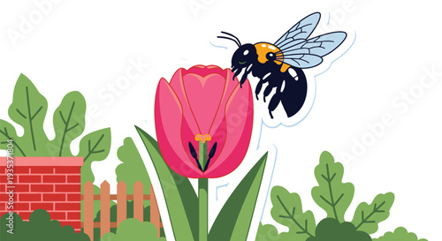 Bee Flying Near Pink Tulip Flower.