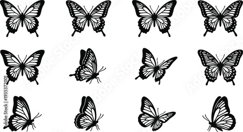 Butterfly silhouette set, flying butterfly collection isolated vector illustration