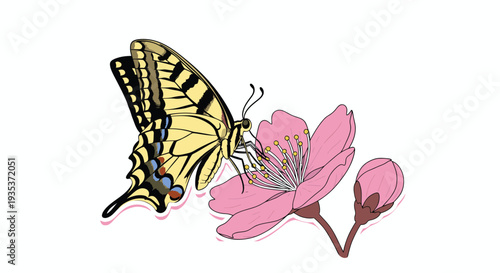 Yellow Butterfly on Pink Flower Illustration.