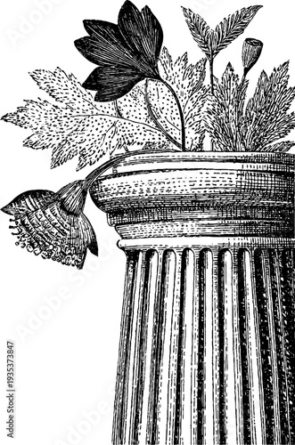 Corinthian column with botanical design engraving from 19th century for art and decor