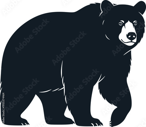 Vector black bear illustration