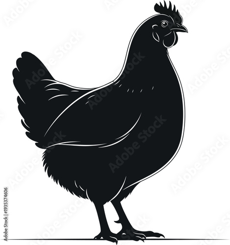 Black chicken vector illustration