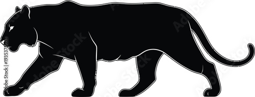 Black panther vector silhouette
