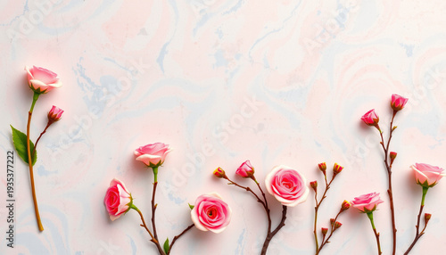 Pink rose flower blossom bloom romance love pastel background pattern spring pink rose flower blossom bloom romance love pastel background pattern spring composition marble texture with copy space