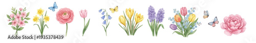 Flover bouquet clipart. Pastel watercolor botanical clipart with tulips peony ranunculus daffodils. Collection of Vector illustrations. Perfect for invitation, card, poster, banner, decoration
