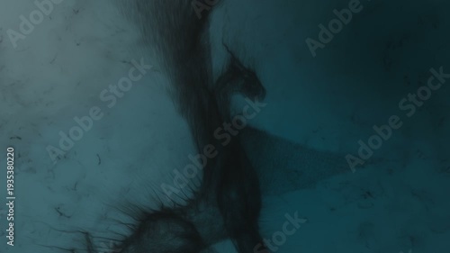 3d animation of a dragon flapping its wings, built from particles