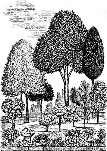 Victorian townhouse façade with botanical border - vintage hand-drawn sketch for design