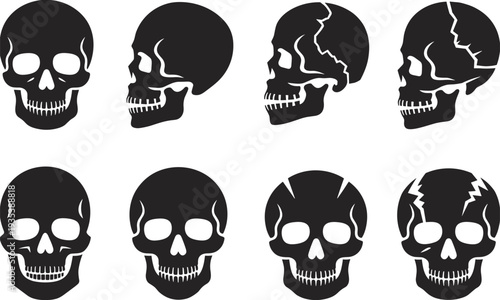 Human skull silhouettes set anatomy cranium icons front and side views cracked skull variations vector illustration isolated