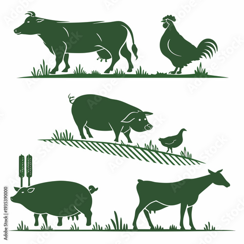 Farm animals in different settings and poses