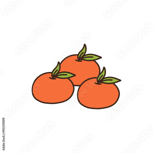 Three Orange Fruits Illustration