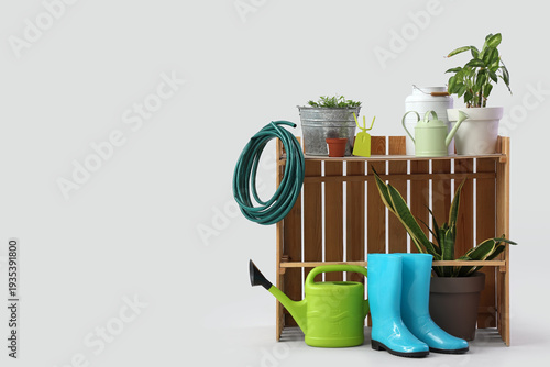 Wooden fence with plants an...