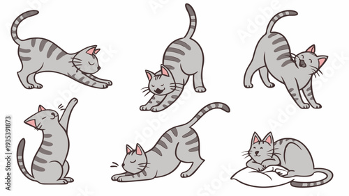 Cute Gray Tabby Cats Stretching Yawning Relaxing Posing Set for Pet Care Web Design or Children's Book Illustration